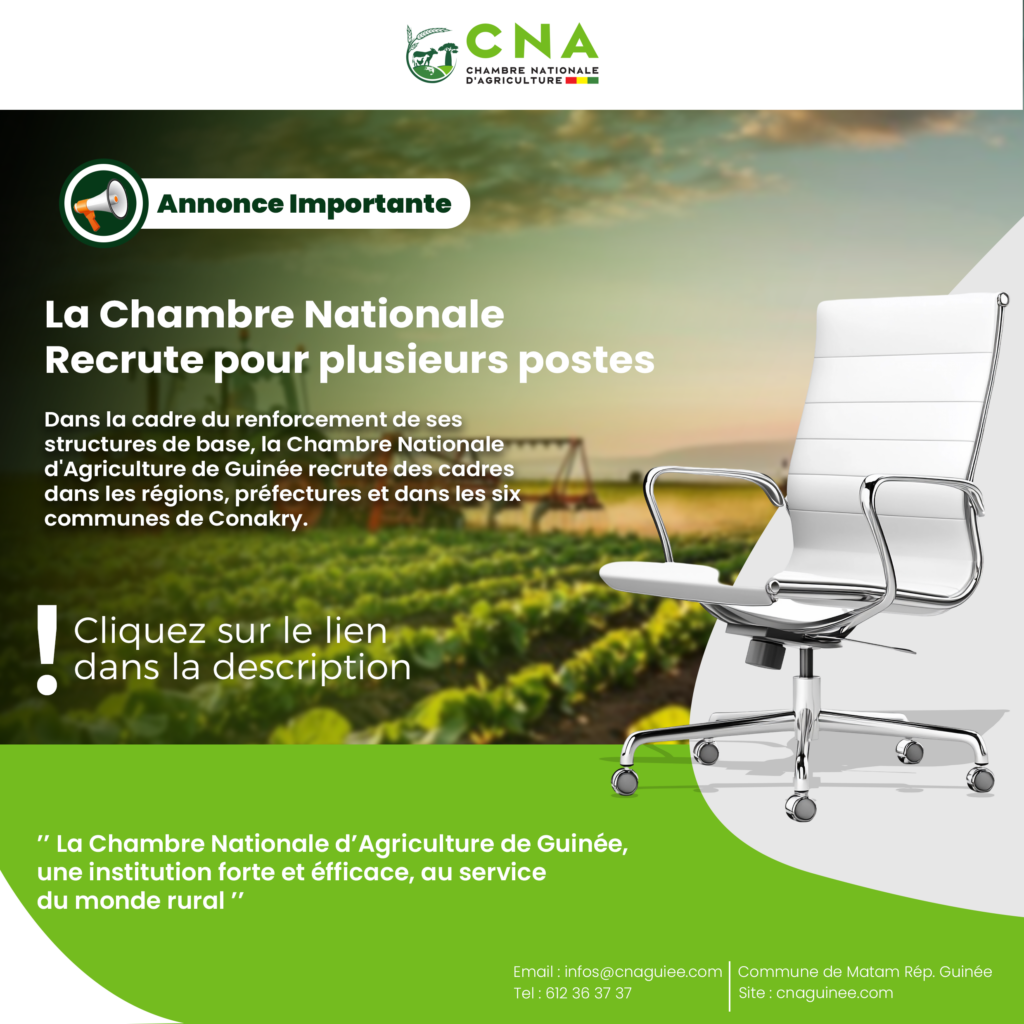 La Chambre Nationale Recrute pour plusieurs postes